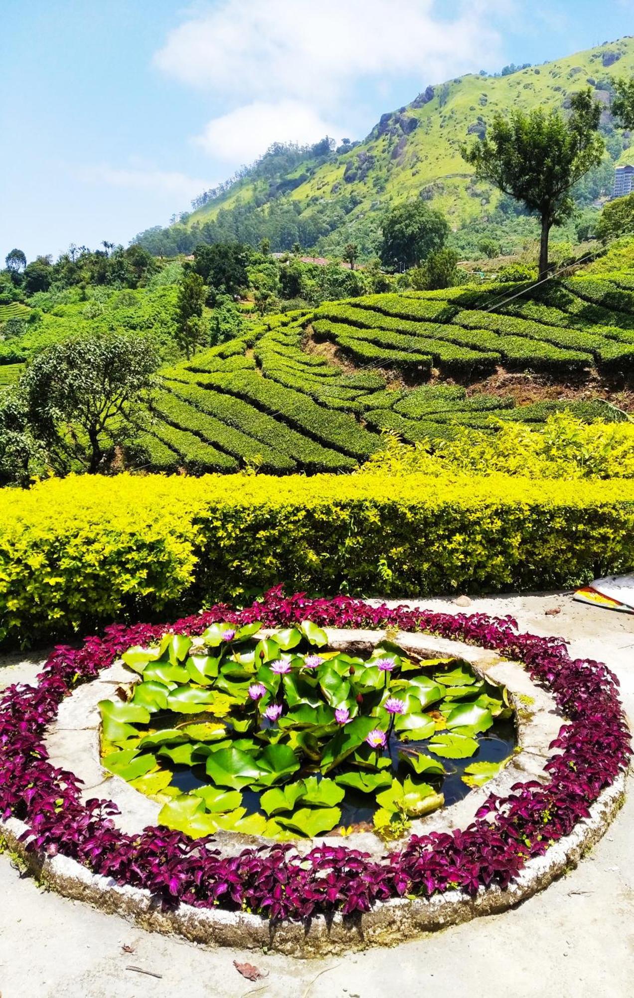 Blackcherry Munnar Extérieur photo